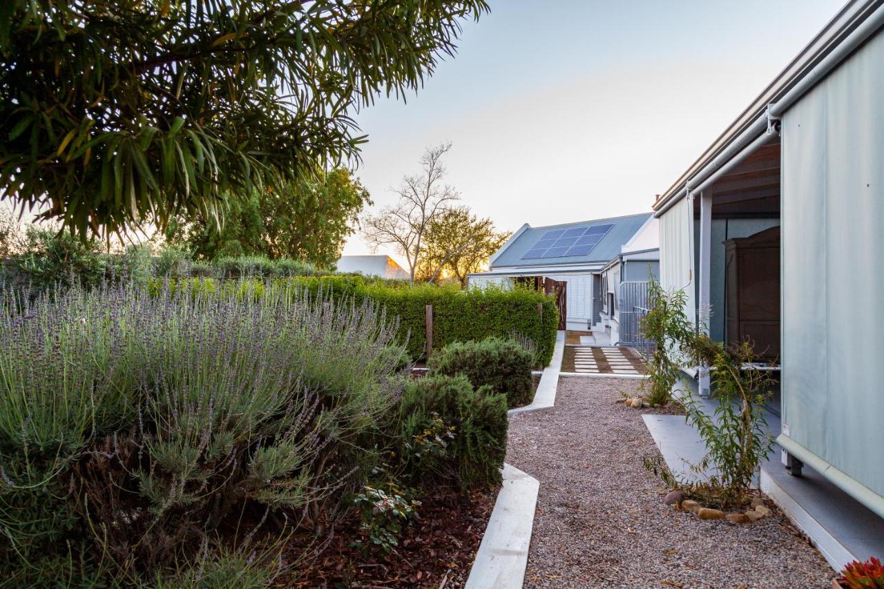 Karoo Masterclass - Accommodation プリンス・アルバート エクステリア 写真